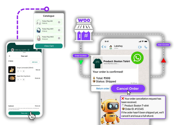 best whatsapp api provider in kerala